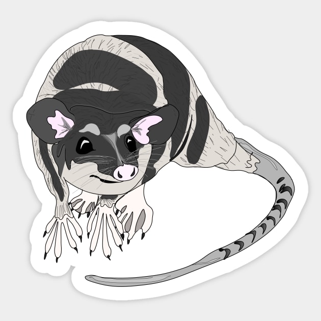 Yapok sarigue aquatic oppossum Sticker by FabuleusePlanete